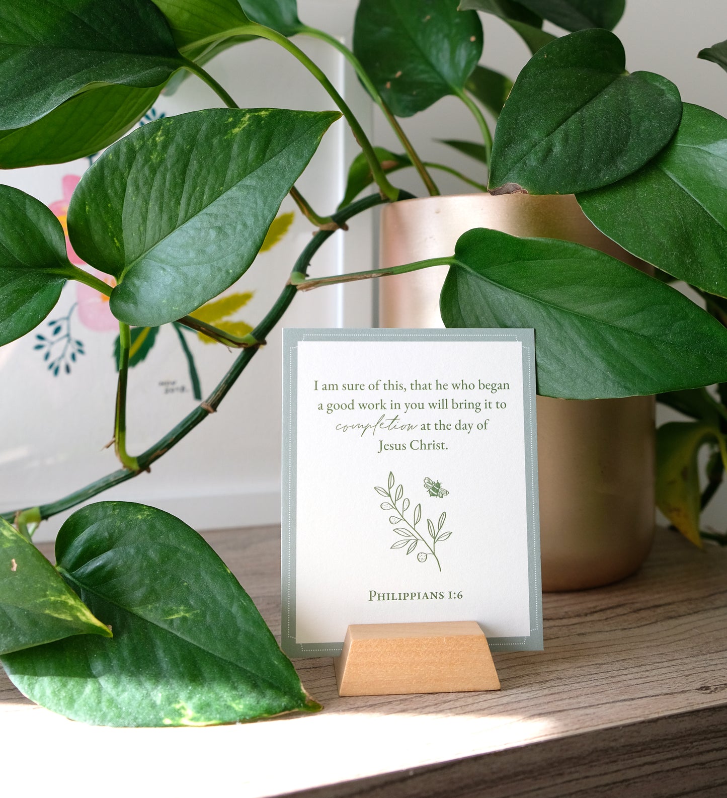 Verse Cards: Truths for Anxious Hearts